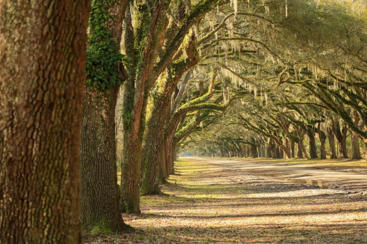 Anderson Place Savannah Buitenkant foto